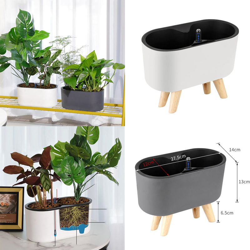 Self Watering Insert - Indoor Plant With Indicator Wooden Leg