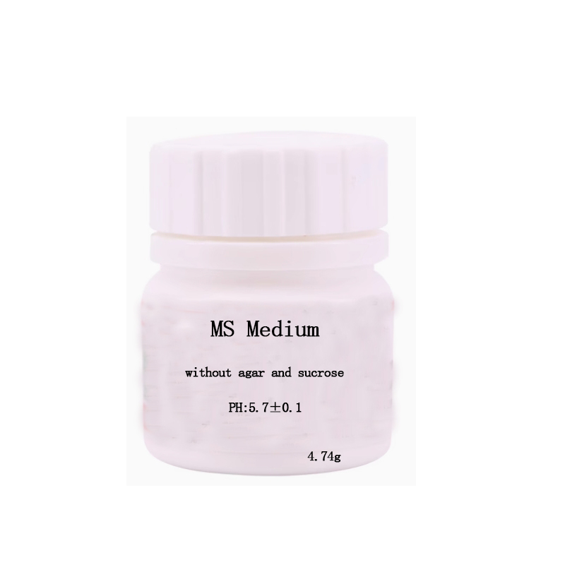 MS Medium Without Agar Or Sucr - Agar Tissue Culture recension och pris
