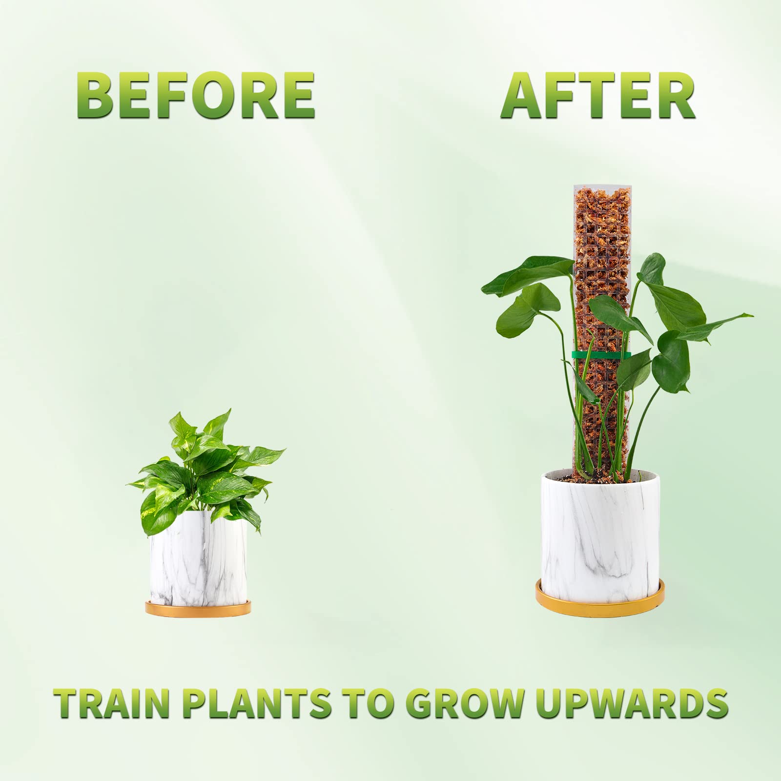 Moss Poles Plants Plant Suppor - Sphagnum Moss Dry recension och pris