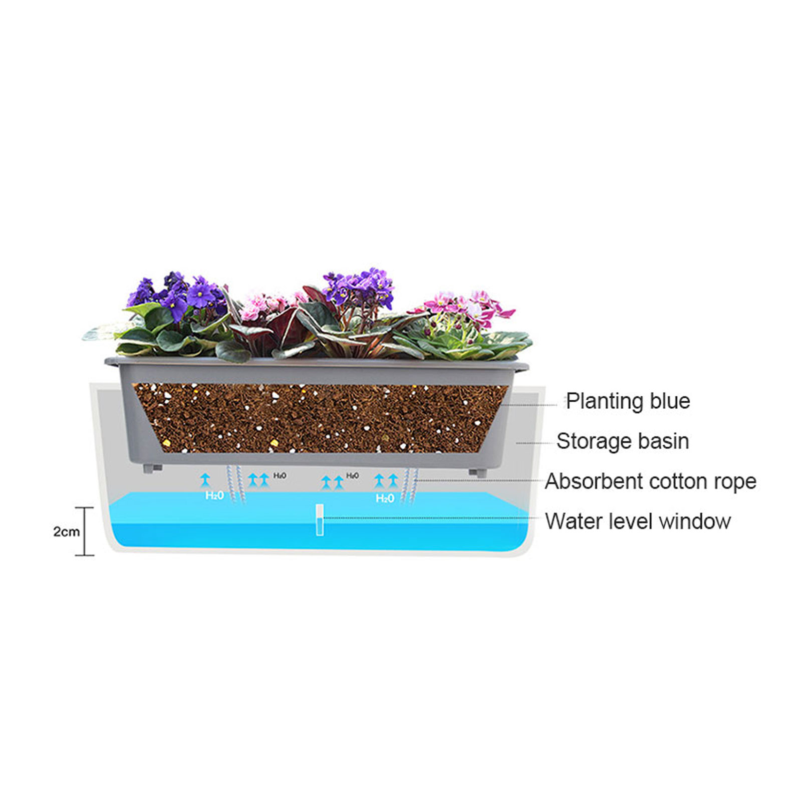 Self-Watering Planter Pots wit - Self Watering Insert recension och pris