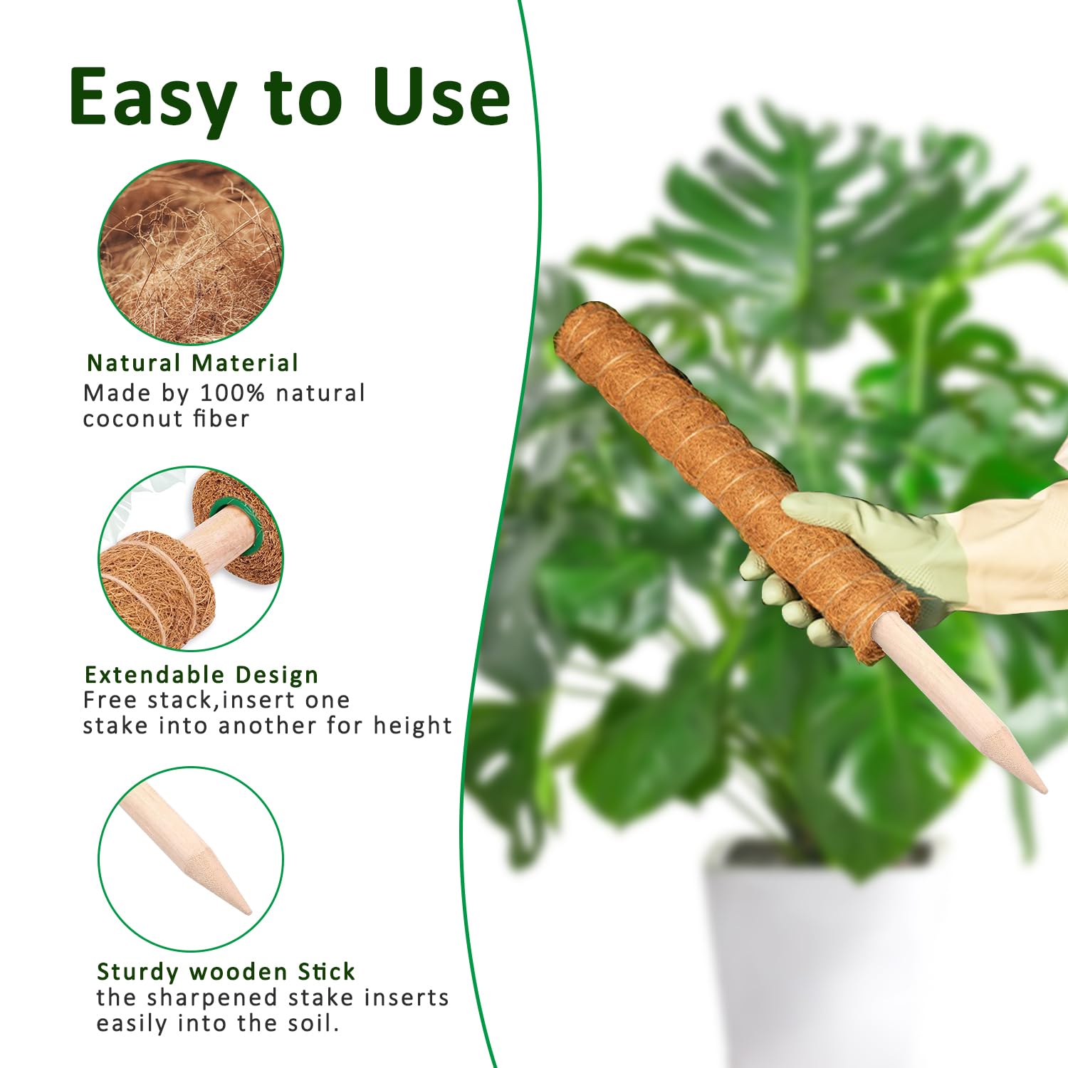 Moss Pole 38/43/53CM Monstera  - Sphagnum Moss Dry recension och pris