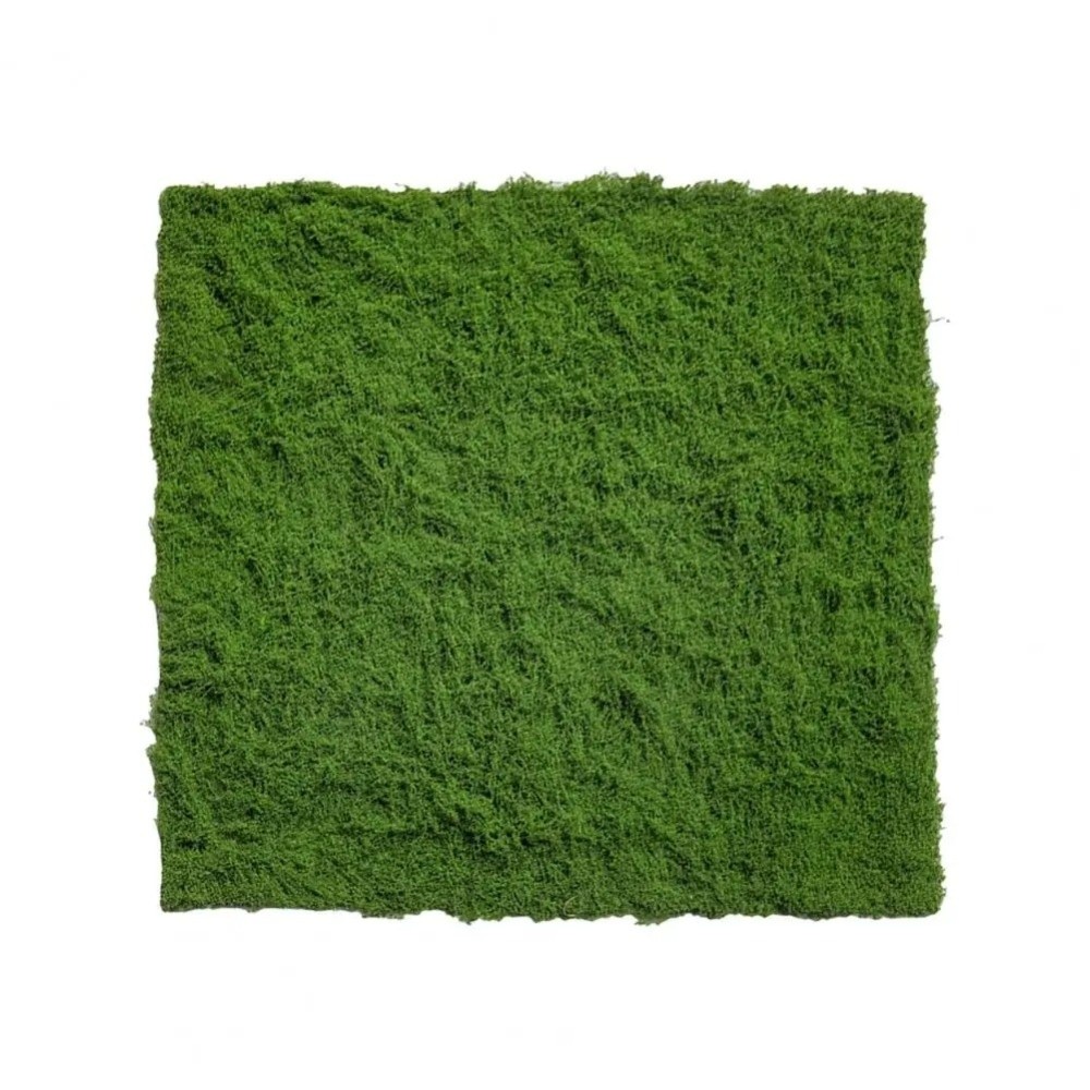 DIY Artificial Grass Rug Durab - Sphagnum Moss Dry recension och pris