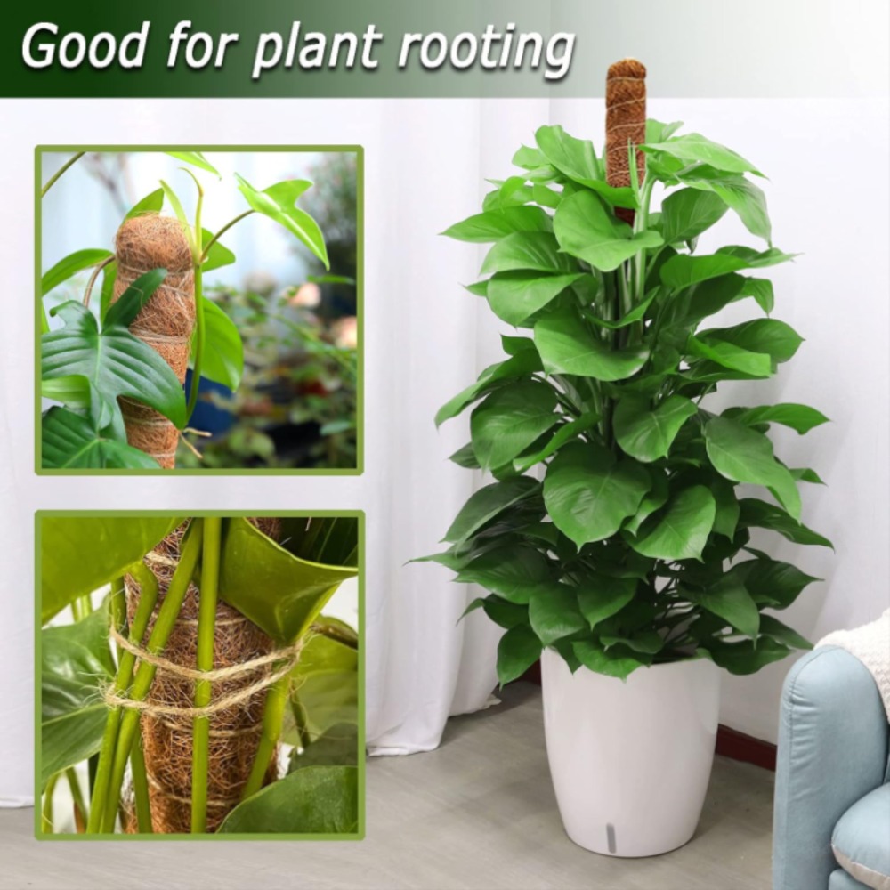 30-100cm Bendable Plants Climb - Sphagnum Moss Dry recension och pris