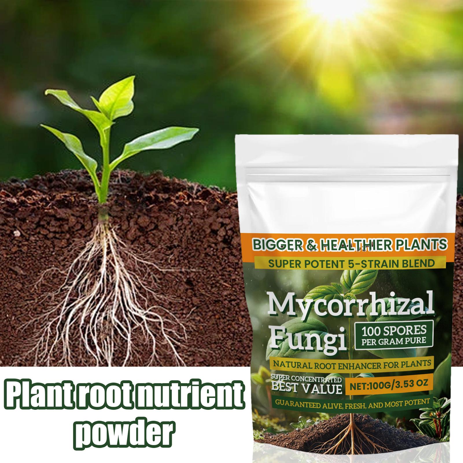 100g Plant Nutrient Powder Pla - Rooting Hormone Powder recension och pris