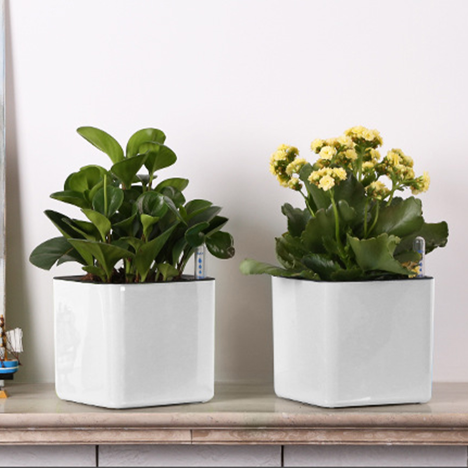 Self Watering Planter Self-wat - Self Watering Insert recension och pris