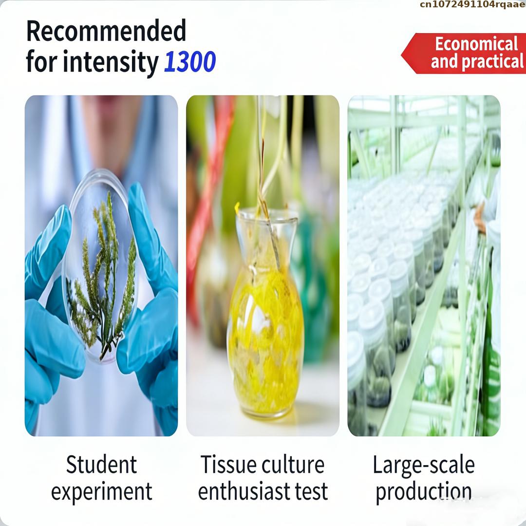 Premium Plant Tissue Culture A - Agar Tissue Culture recension och pris