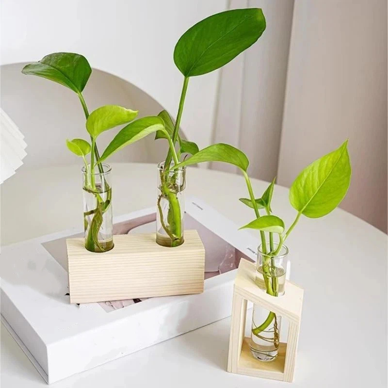Test Tube Glass Vase Plant Pro - Propagation Station Vase recension och pris