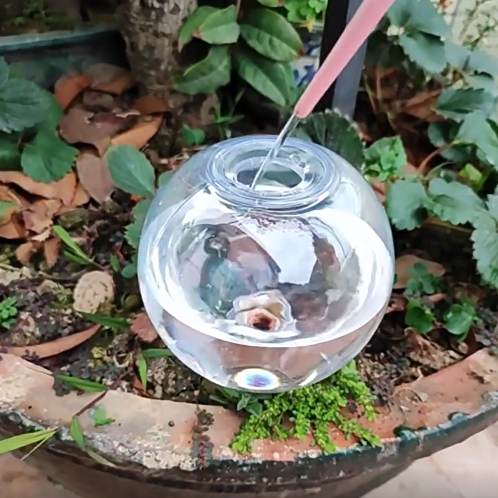 500ML Self Watering Globes Dri - Self Watering Insert recension och pris