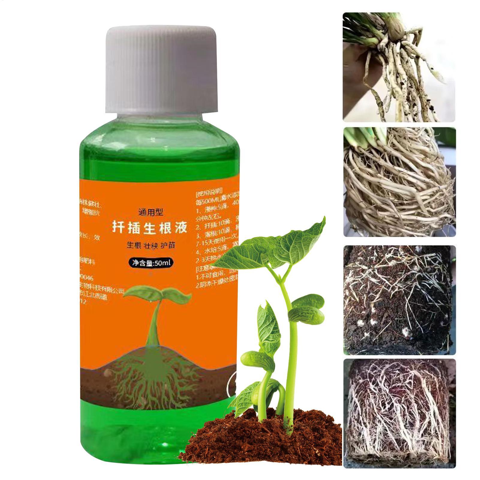 High-Efficiency Root Stimulato - Root Stimulator Liquid recension och pris