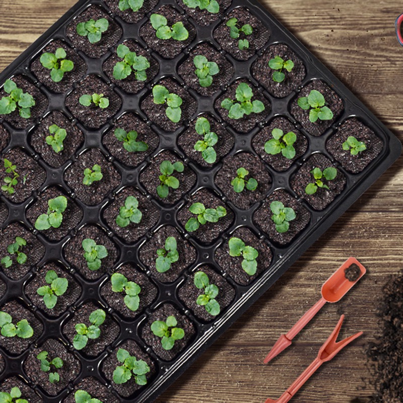 ABGH-10 Pack Seed Starter Tray - Propagation Tray 72 recension och pris