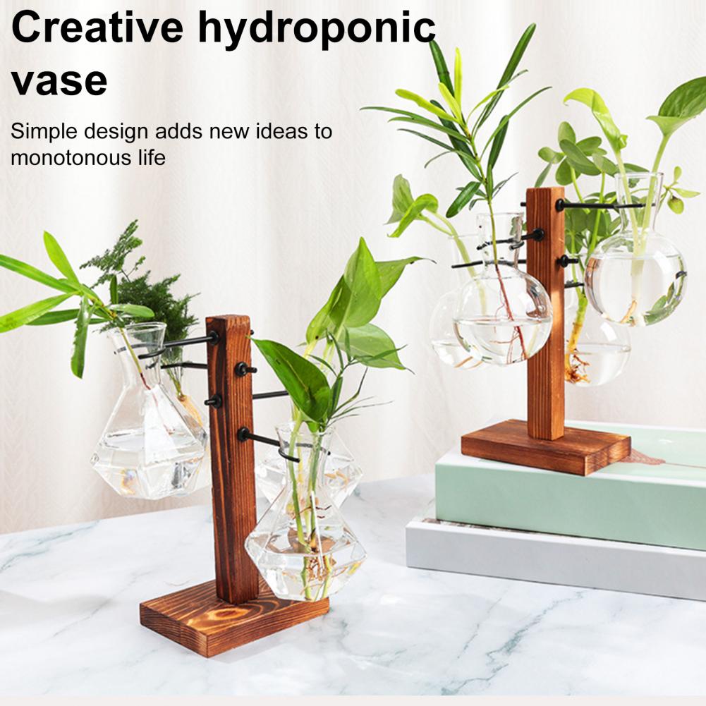 1 Set 10*25cm Plants Propagati - Propagation Station Vase recension och pris