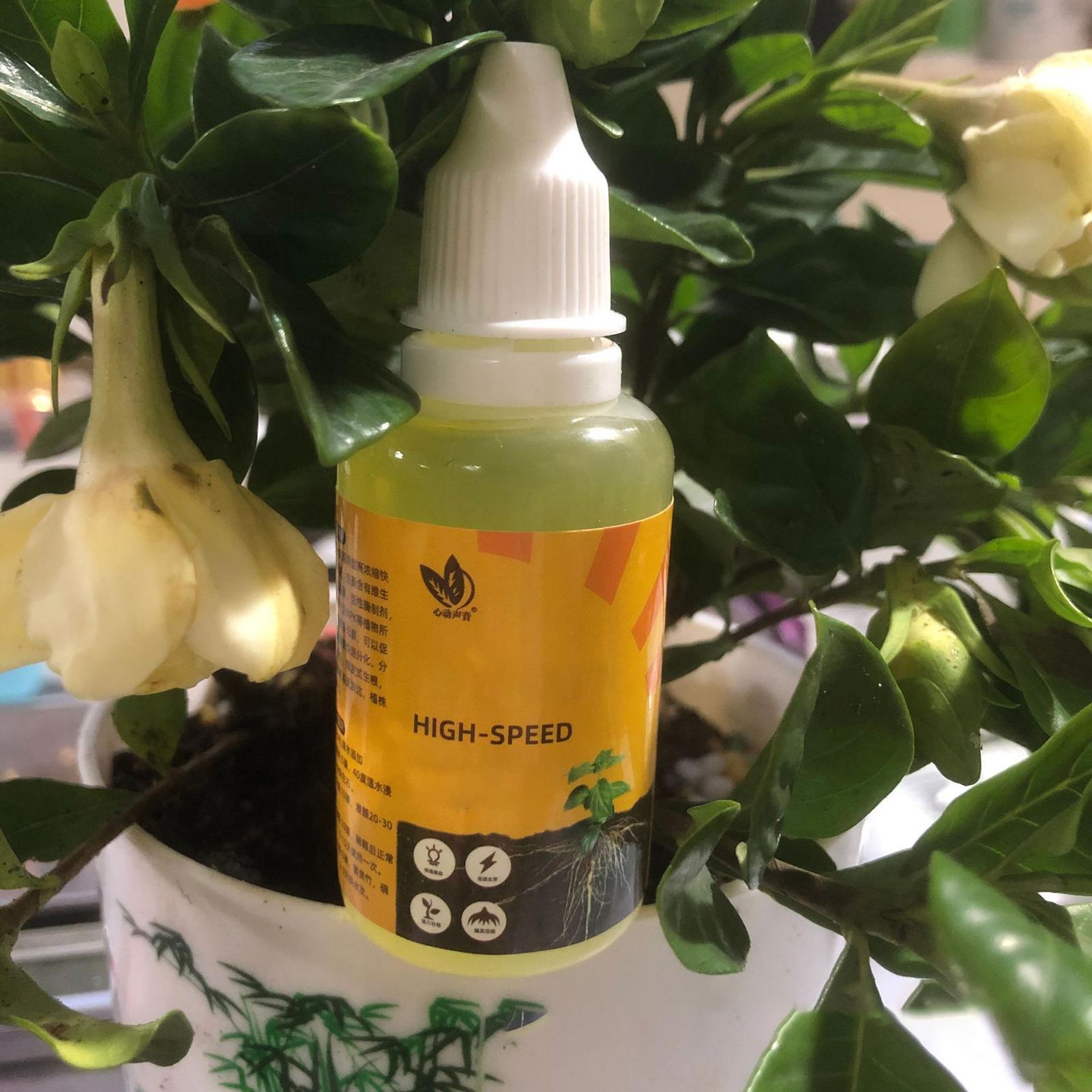 Plant Rapid Rooting Solution 5 - Root Stimulator Liquid recension och pris