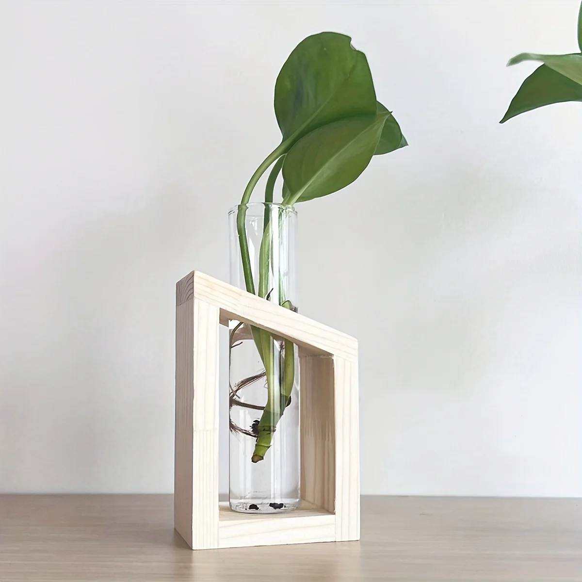 Test Tube Glass Vase Plant Pro - Propagation Station Vase recension och pris