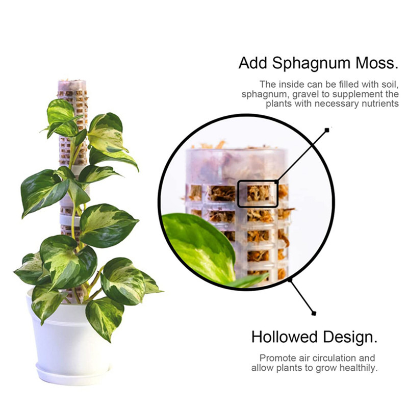 Plant Climbing Column Sphagnum - Sphagnum Moss Dry recension och pris