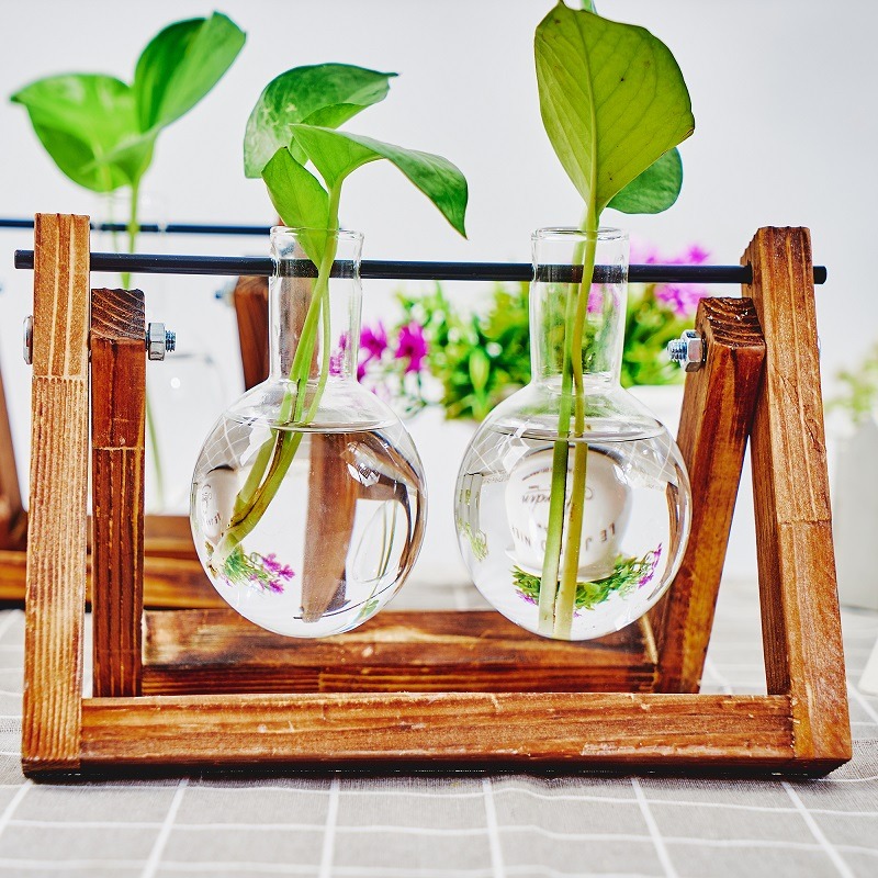 Tabletop Glass Planter Propaga - Propagation Station Vase recension och pris