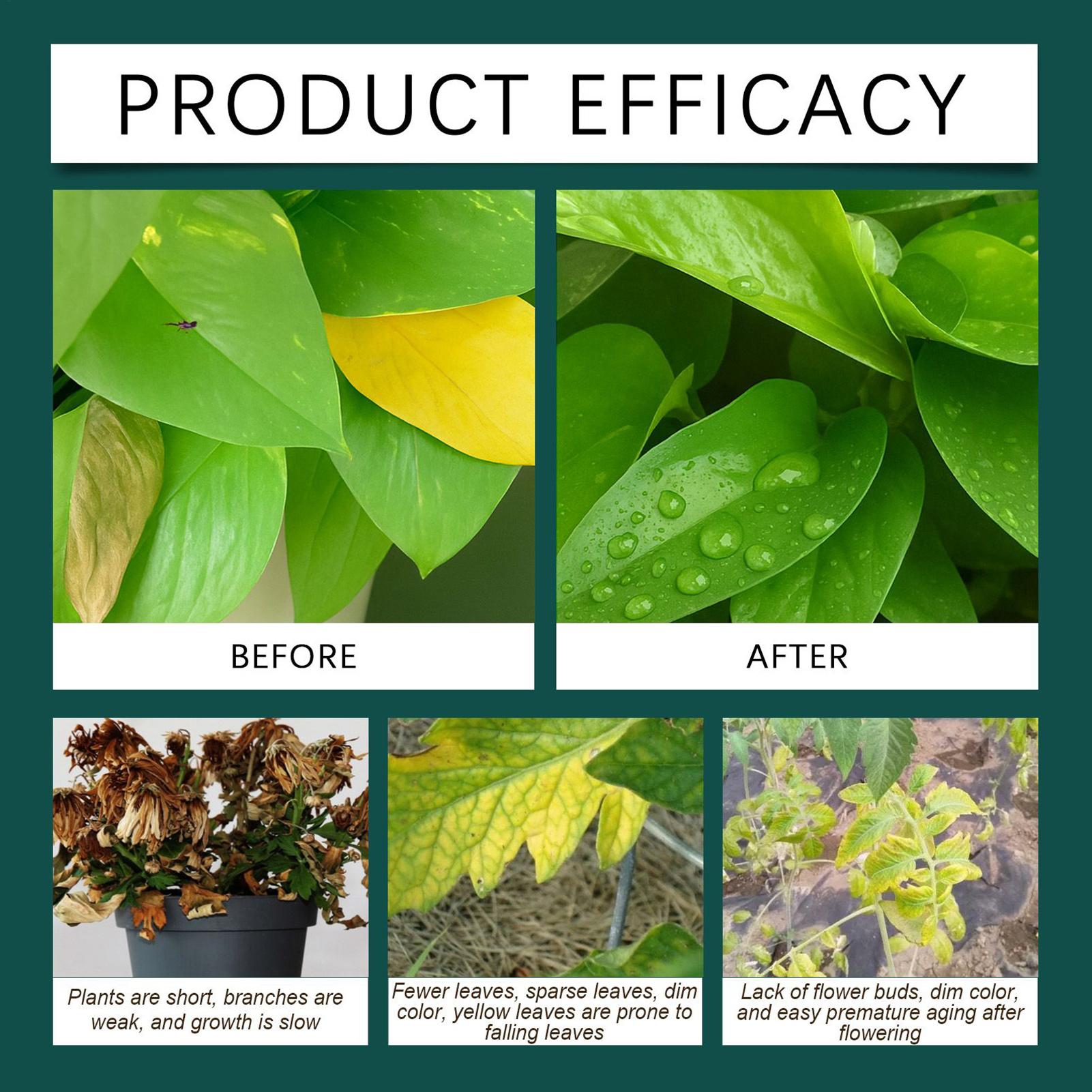 100ml Plant Rooting Liquid Dro - Root Stimulator Liquid recension och pris